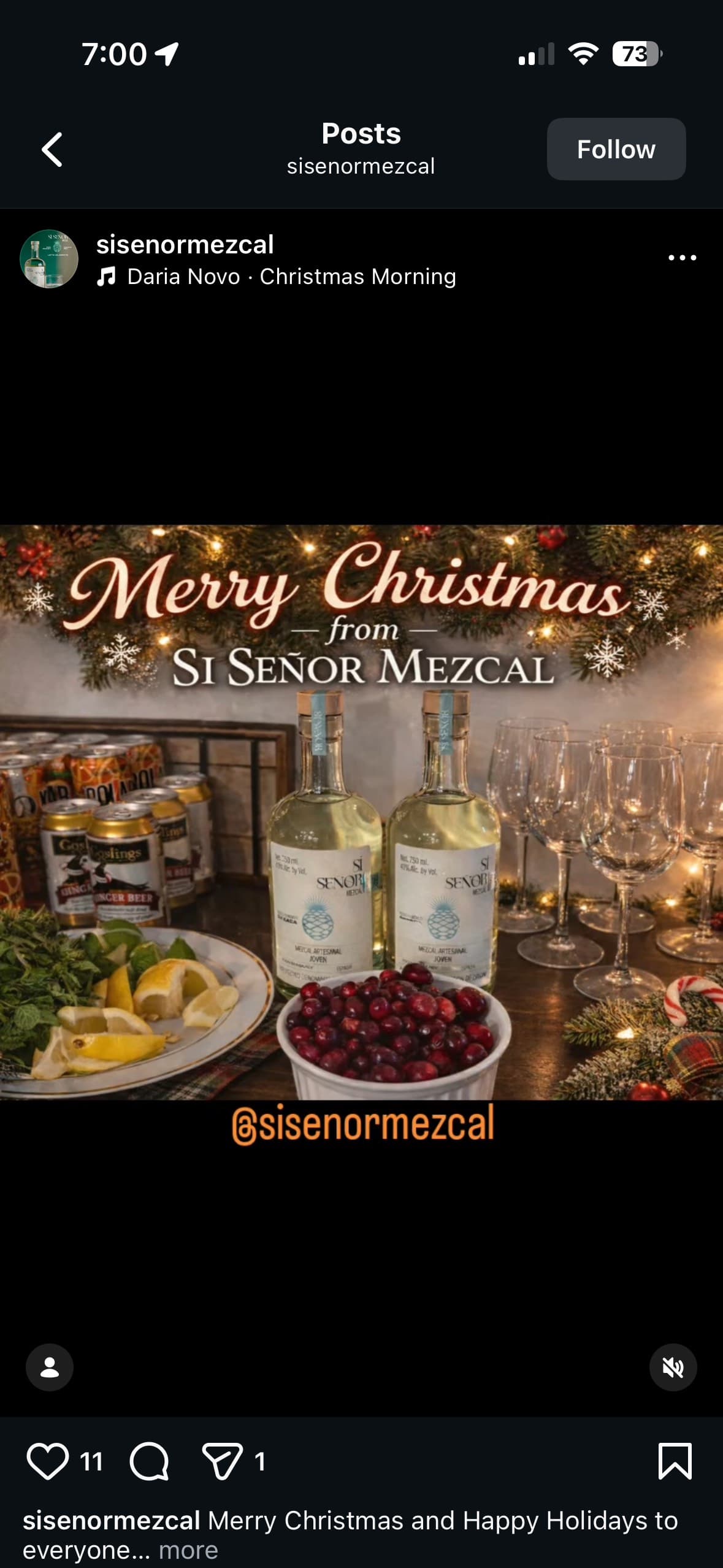 Si Señor Mezcal Social Post 1